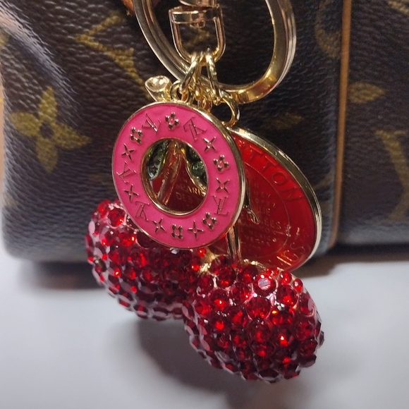 Louis Vuitton Zipper Pulls (2) - Picture 6 of 10